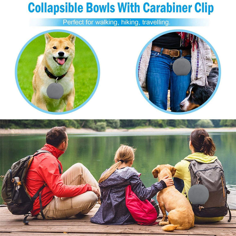 Foldable Double Pet Feeding Bowl for Dogs and Cats product detail