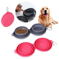 Foldable Double Pet Feeding Bowl for Dogs and Cats