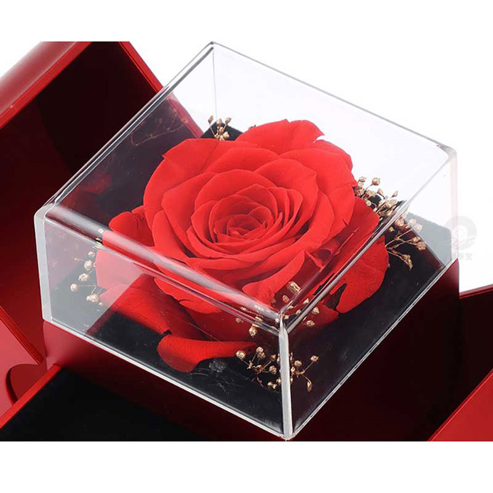 Eternal Rose Apple Gift Box with Lover Necklace