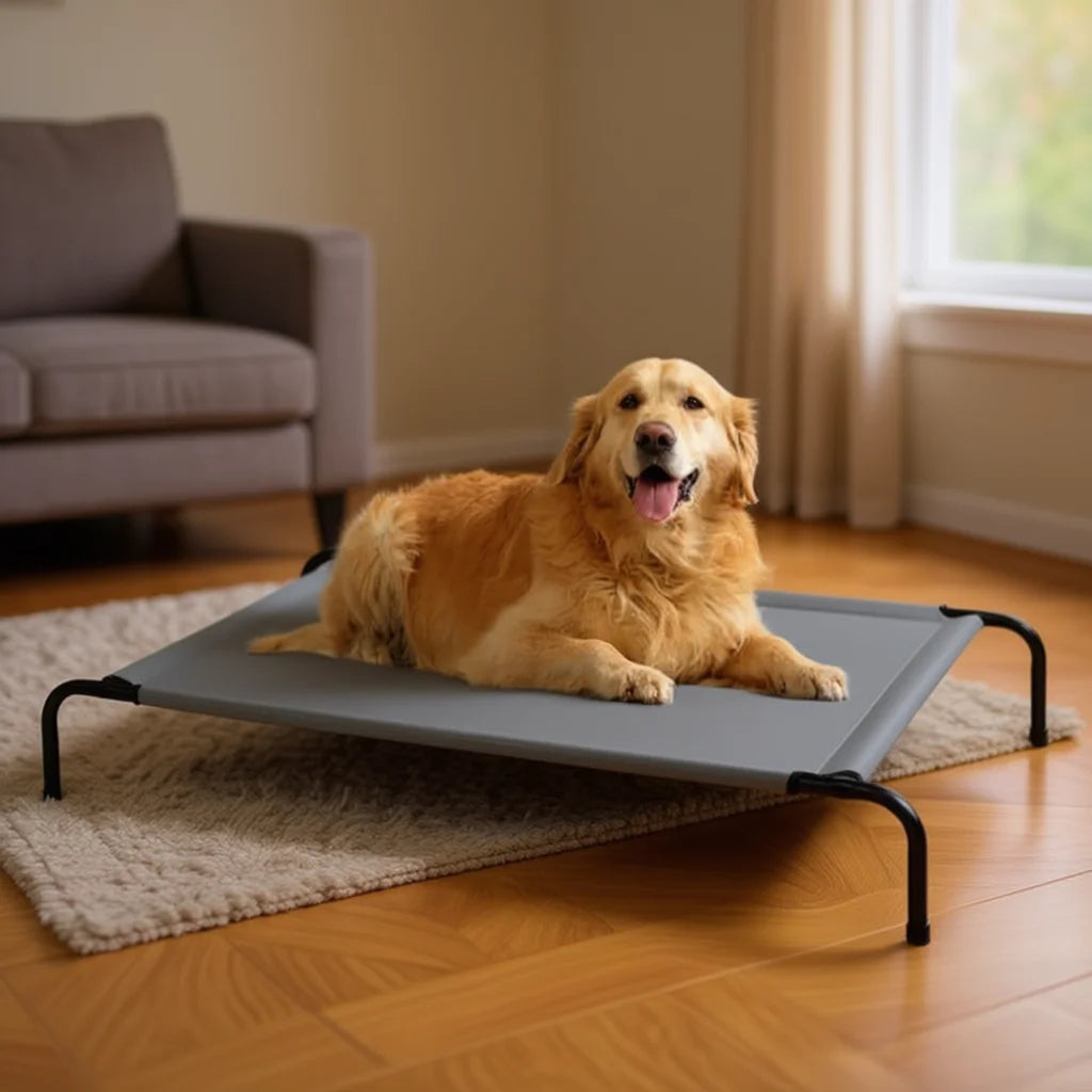 PawHaven XL Elevated Dog Bed 50 x 31 in