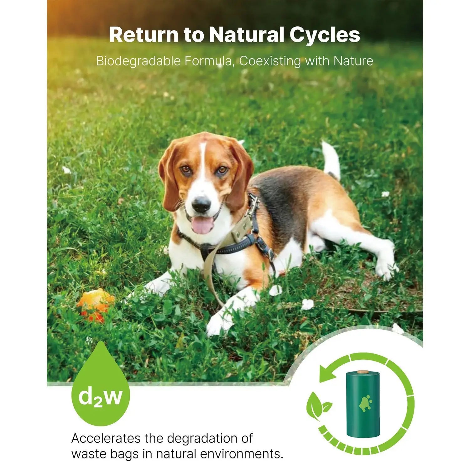 270 Count Dog Poop Waste Bags Leak Proof Unscented 13 x 9 Inch Rolls