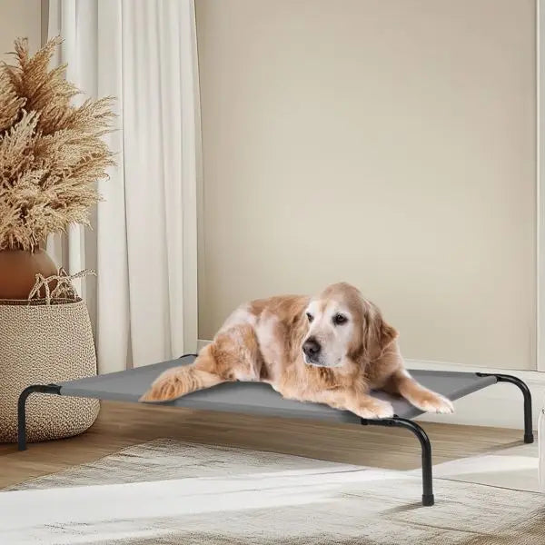 PawHaven XL Elevated Dog Bed 50 x 31 in