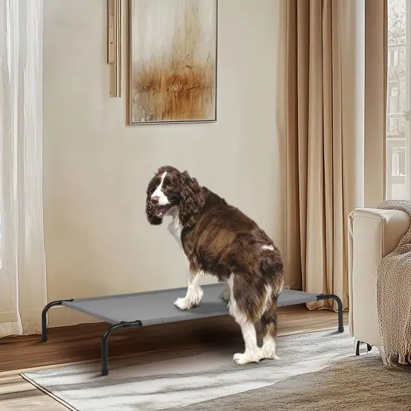 PawHaven XL Elevated Dog Bed 50 x 31 in