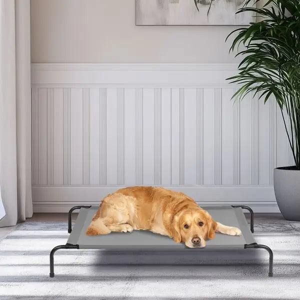 PawHaven XL Elevated Dog Bed 50 x 31 in