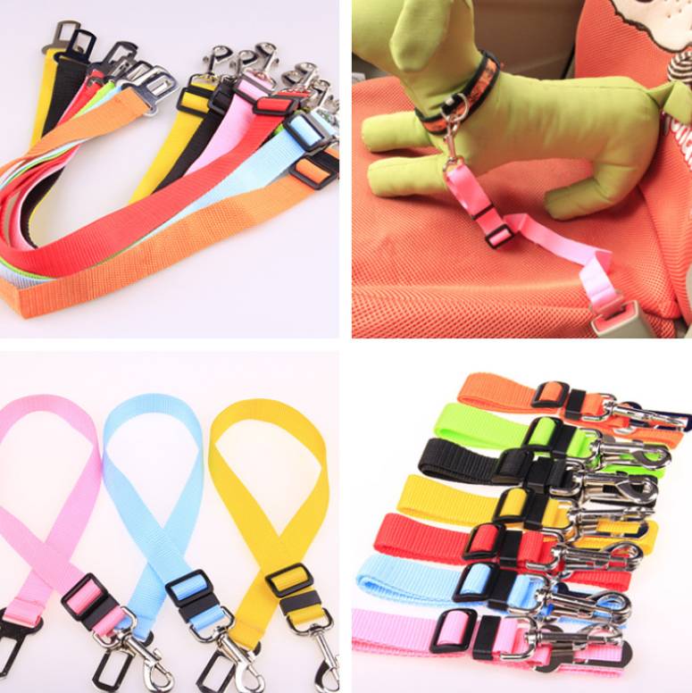 60 cm Polyester Dog Leash