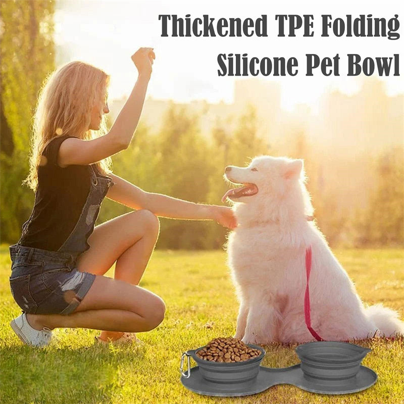 Foldable Double Pet Feeding Bowl for Dogs and Cats product detail