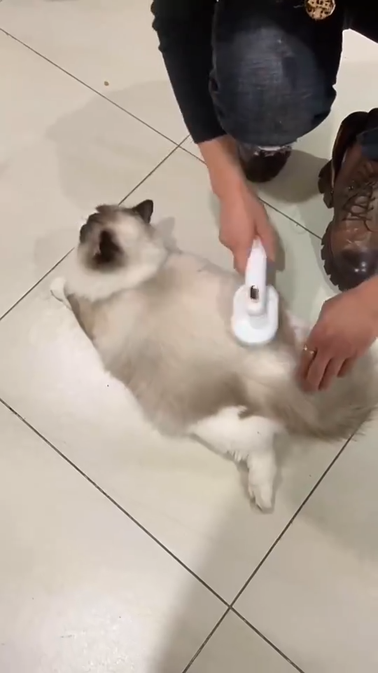 Pet Self-Cleaning Grooming Brush for Dogs and Cats product detail