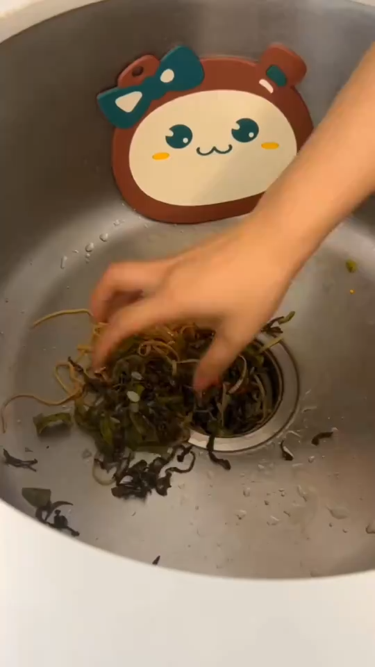 Suction Cup Sink Strainer with Disposable Filter Bags product detail